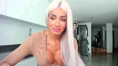 lauts2 webcam model stream image