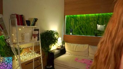 TierraCheck webcam cam4 model stream image