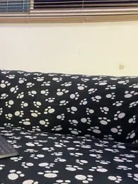 cody_fox10 webcam model stream image