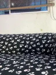 cody_fox10 webcam model stream image