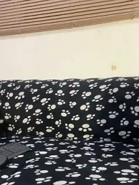 cody_fox10 webcam model stream image