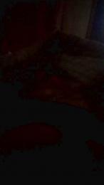 Seba22bb webcam model stream image