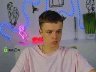 veldi-to webcam model stream image