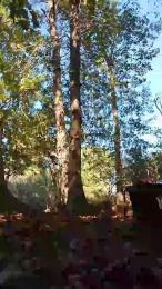 Lickmybottom69 webcam model stream image