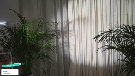 taanni_bc webcam model stream image