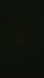 Pollaaac4 webcam model stream image