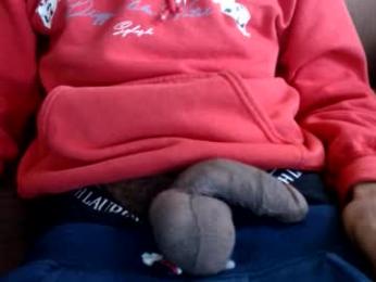 bertdollaz757 webcam model stream image