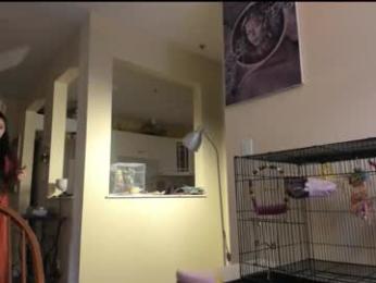 alizezaide webcam chaturbate model stream image