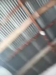 Cristian_Camila webcam stripchat model stream image