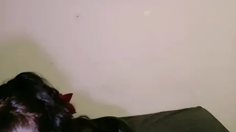 angeldust_777 webcam model stream image