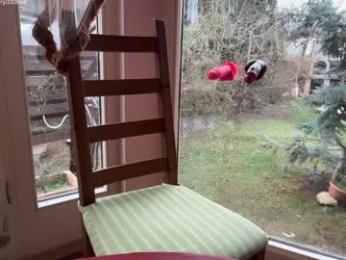 patry333 webcam model stream image