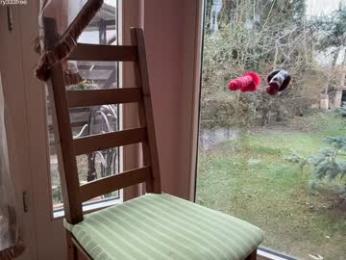 patry333 webcam model stream image