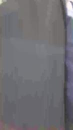 TheWolfxx webcam model stream image