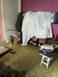 Lust_guy27 webcam model stream image