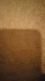 Bebesitooo7 webcam model stream image