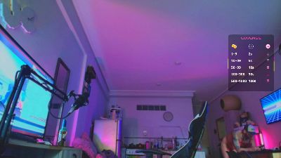 elzrd webcam model stream image