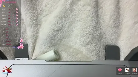 tinykisa webcam model stream image