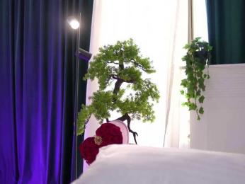 ArtTeasee webcam bongacams model stream image