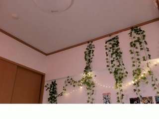 vi-jasen webcam camsoda model stream image