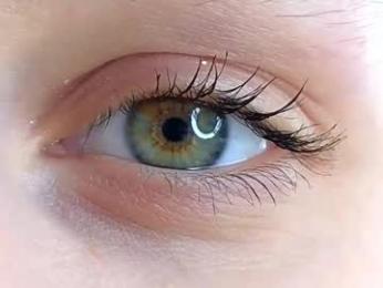 xiaobrunscheen webcam model stream image