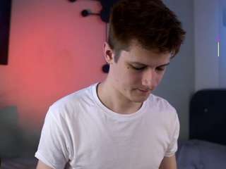 alertt webcam model stream image