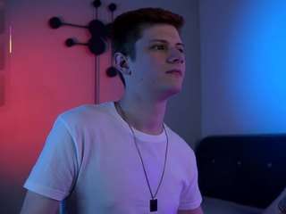 alertt webcam model stream image