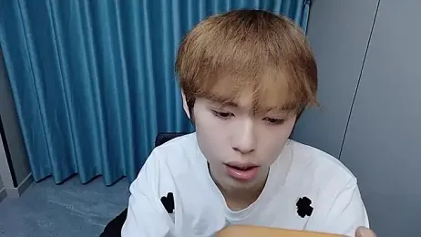 w5206t webcam model stream image