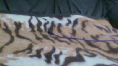 MucSuesser webcam model stream image