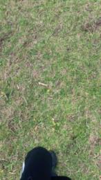 vampirexslayerx webcam model stream image