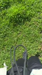 vampirexslayerx webcam model stream image