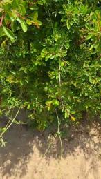 Vislumbre webcam model stream image