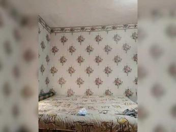 Alisa-33 webcam model stream image