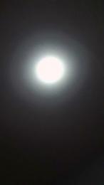 Ismael993 webcam model stream image