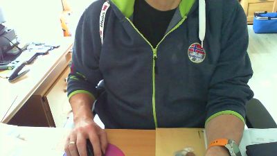 Rola311 webcam model stream image