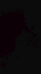 teddy2008 webcam model stream image