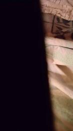 teddy2008 webcam model stream image