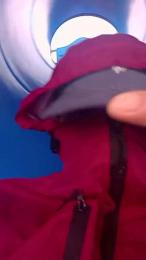 Fsst4 webcam model stream image