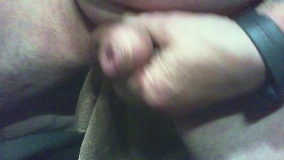 hammerschwa4 webcam model stream image