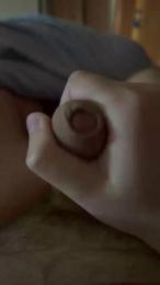 mos1333 webcam model stream image