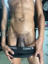 BlueIceCube webcam model stream image