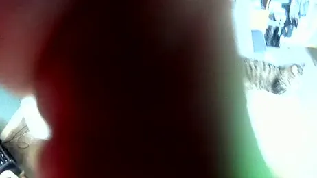 Spunwhiteboy1992 webcam model stream image