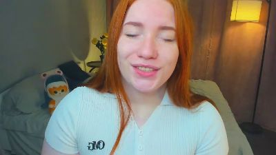 GingerDryer webcam model stream image