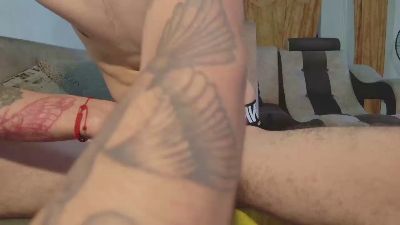 tim_2xxx webcam model stream image