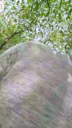 Socke72 webcam model stream image