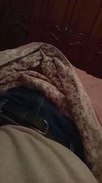 davidof3127 webcam cam4 model stream image