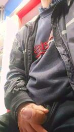 maialone55 webcam model stream image