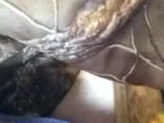 coachd11 webcam camsoda model stream image