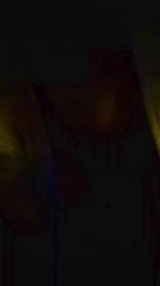 dr_salue webcam model stream image