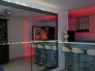 Alan Vidal webcam model stream image