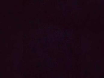 TilyTily webcam bongacams model stream image